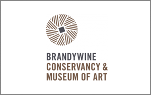 brandywine gallery pic